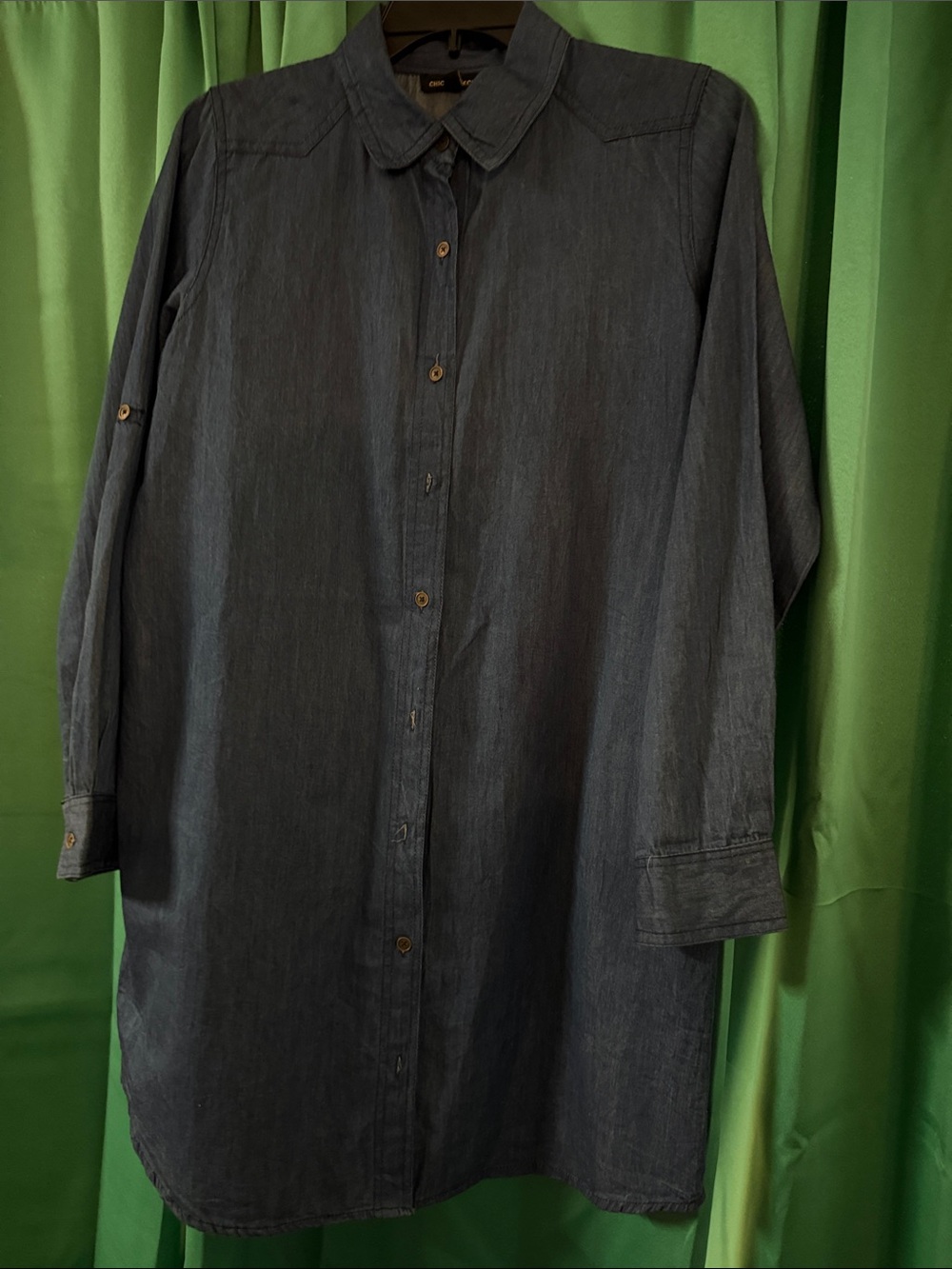Casual Women's Denim Button-Down Dress/Shirt - Blue
